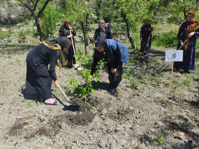 Оказывает социально - бытовую услугу
