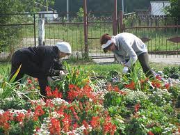 Внимание конкурс-общественные работы с финансированием-22