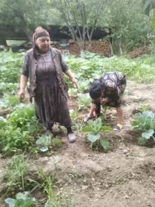 Социальный работник селения Кума, Курбанова Гулизар