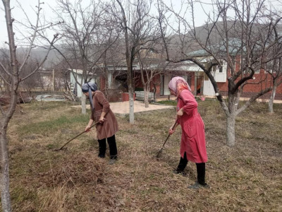 социальная неотложка32