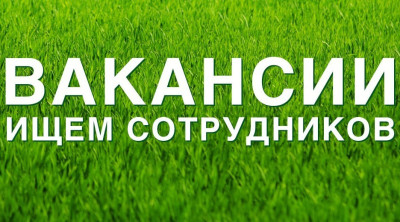 Вакансии в Сахалинской области 31.08.2022 г.