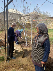 Проделанная работа социального работника