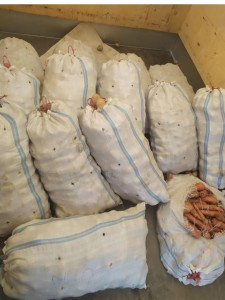 Благотворительная помощь 08