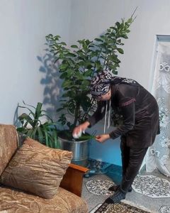 Социальная неотложка.25