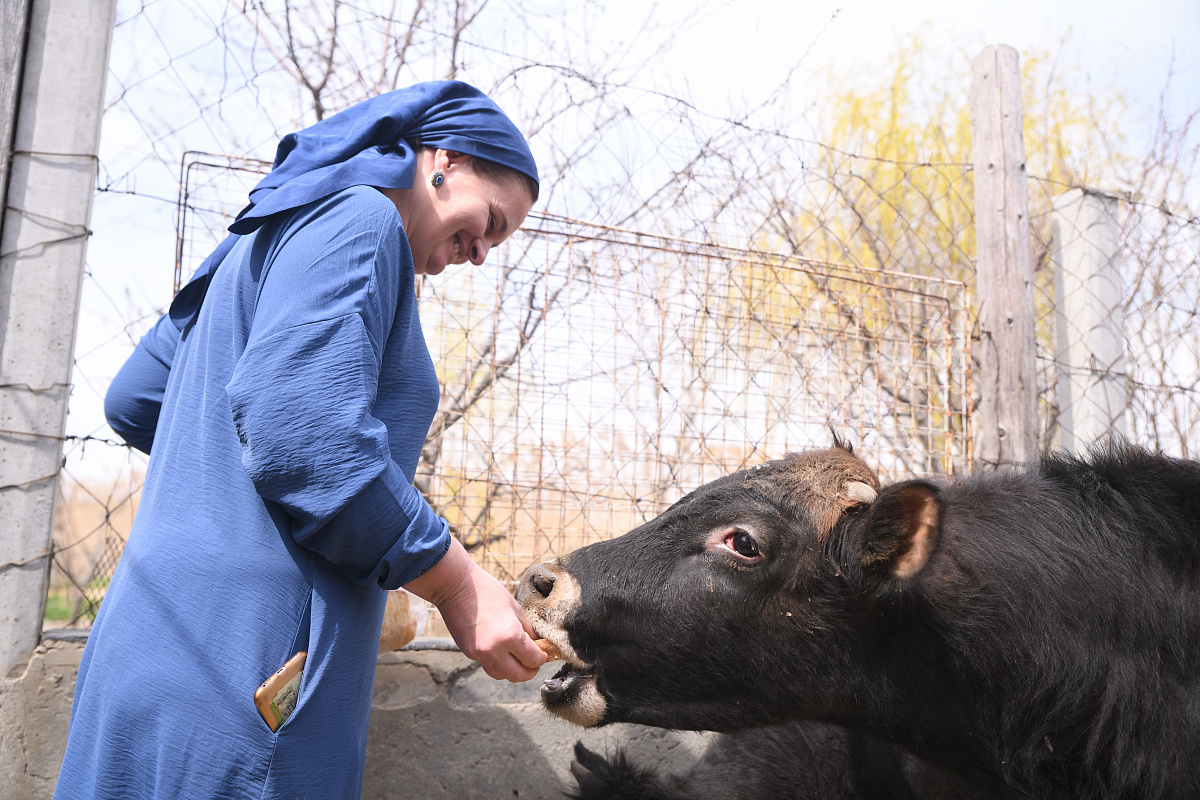 Нуждающимся жителям Кизилюртовского района удалось улучшить материальное положение за счет средств соцконтракта