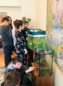 Живой уголок