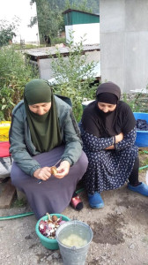 ПОМОЩЬ НА ДОМУ