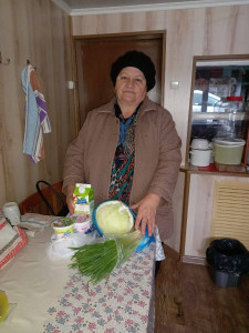 Предоставление социально - бытовой услуги в надомном отделении