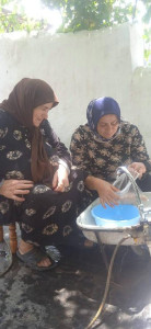 оказание социально-бытовых услуг для подопечной.