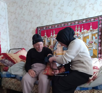 медицинские услуги подопечному.