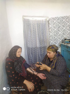 оказывает социально-медицинские услуги подопечным