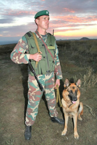 ПРОВЕДЕНИЕ ВОЕННО-ПРОФОРИЕНТАЦИОННЫХ МЕРОПРИЯТИЙ «ВОЕННАЯ ПРОФЕССИЯ – ДОСТОЙНЫЙ ВЫБОР!» СРЕДИ МОЛОДЕЖИ.