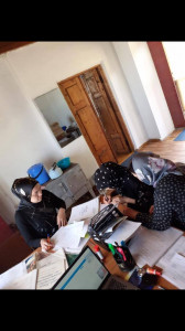 Выезд мобильной бригады в с. Шулани и Унты