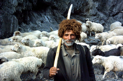 Информация работодателям