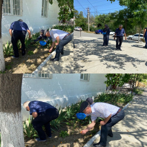 Трудотерапия на свежем воздухе