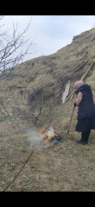 Оказание социально - бытовых услуг