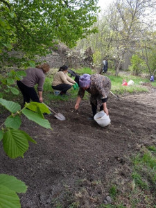 Социальная неотложка36