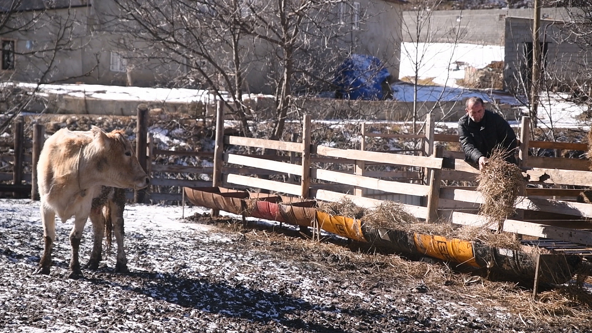 Жители Буйнакского района открыли собственное дело на средства соцконтракта