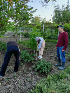С.Шагада. с.раб.и волонтеры у обслуживаемой Магомедовой Патимат Раджабовны на приусадебном участке наводят порядок