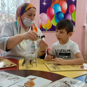 Занятие по развитию речи