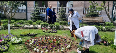 Субботник по пересадке цветов