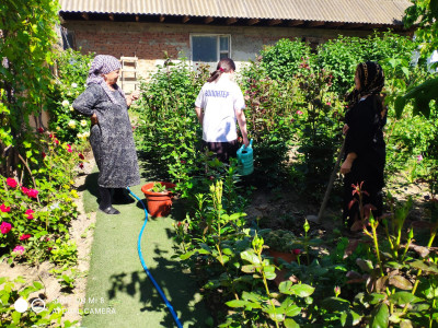 Соцработники отделения 7 с.Эндирей совместно с волонтёрами оказывают помощь гражданам пожилого возраста