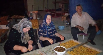 оказание социальных услуг для подопечных.