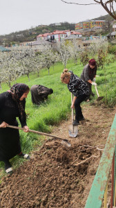 Субботник в селе Баршамай