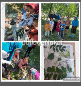 Беседа "Гербарий"