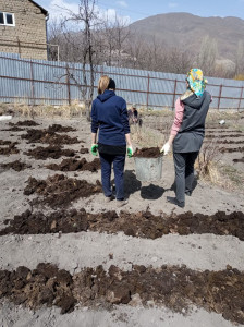 Социальная неотложка31