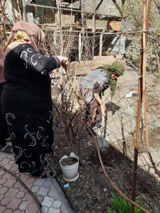 Оказание социально бытовых услуг.