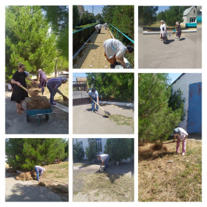 Субботник в доме - интернате 08