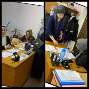 Приём отчётов о проделанной работе за неделю , социальными работниками.