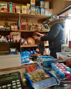 Оказание социально-бытовых услуг