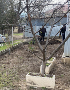 Сегодня коллектив ГКУ РД УСЗН в МО «Буйнакский район» провёл субботник на территории управления и прилегающей к ней территории.