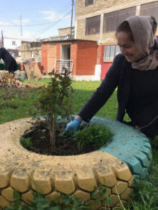 Субботник по посадке цветов