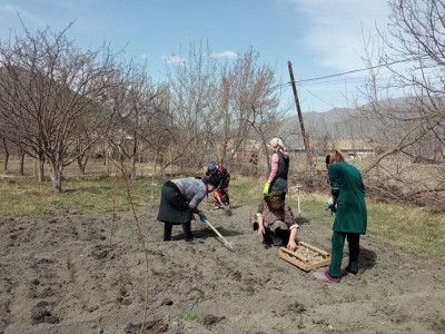 социальная неотложка31