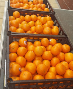 Благотворительная помощь 0