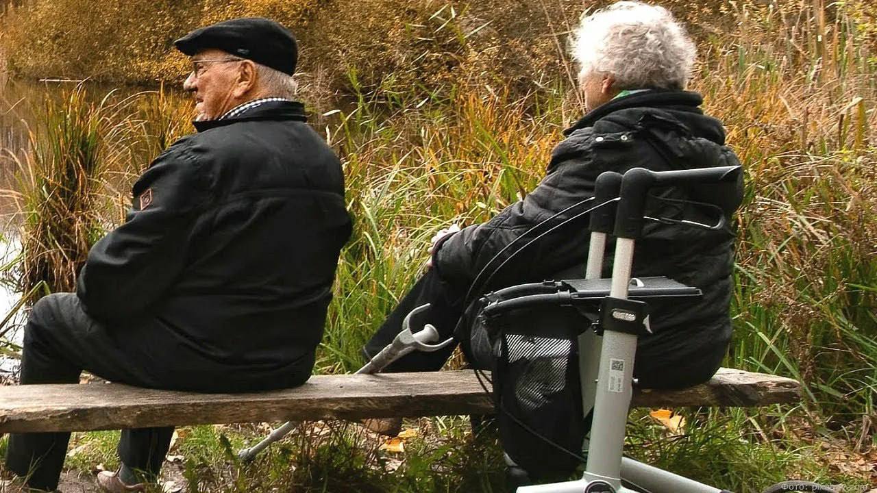 Пенсионеры и граждане с инвалидностью могут подтвердить льготы с помощью приложения МАХ