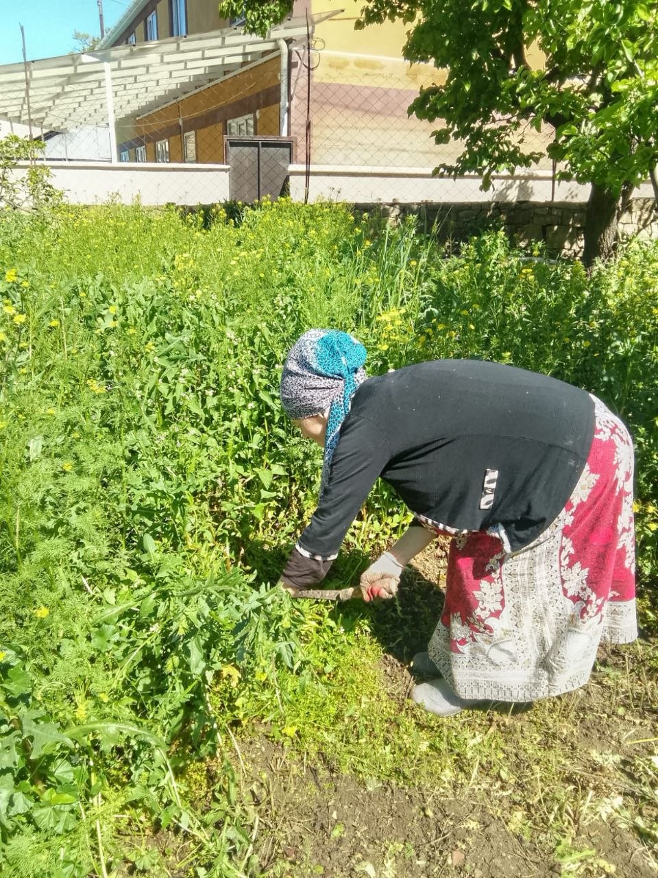 Кадры рабочего дня социального работника КЦСОН Лакского района — Омаевой Анжелы